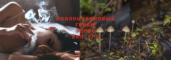 мдпв Майский