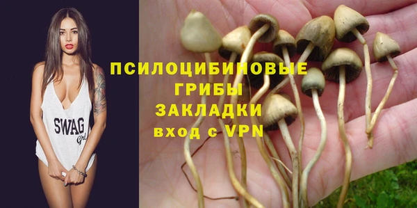 Альфа ПВП Алексеевка
