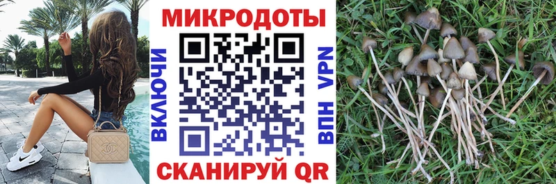 Псилоцибиновые грибы прущие грибы  наркота  Сухиничи 